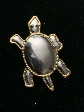 Gold-Trimmed Turtle Pin Brooch with Shiny Silver Body
